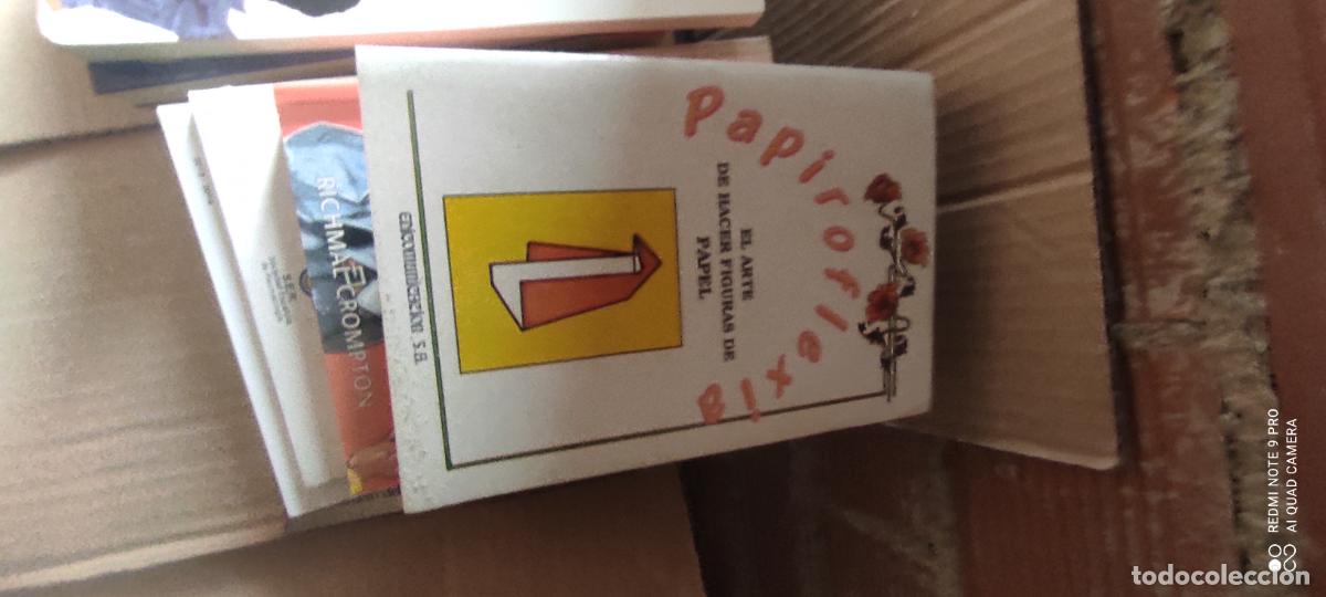 Libros de segunda mano: Papiroflexia. El arte de hacer figuras de papel