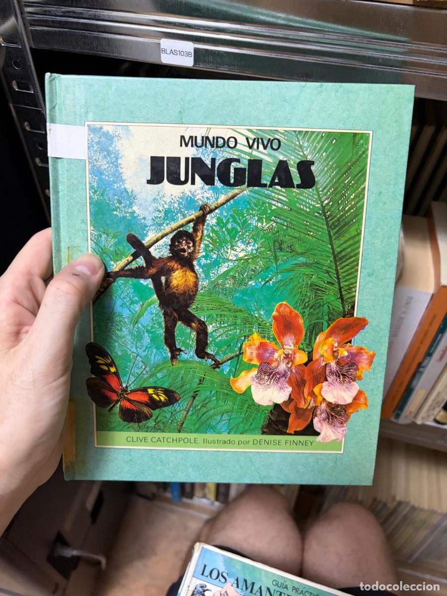 Libros de segunda mano: BLAS103B Junglas - Clive Catchpole - MUNDO VIVO