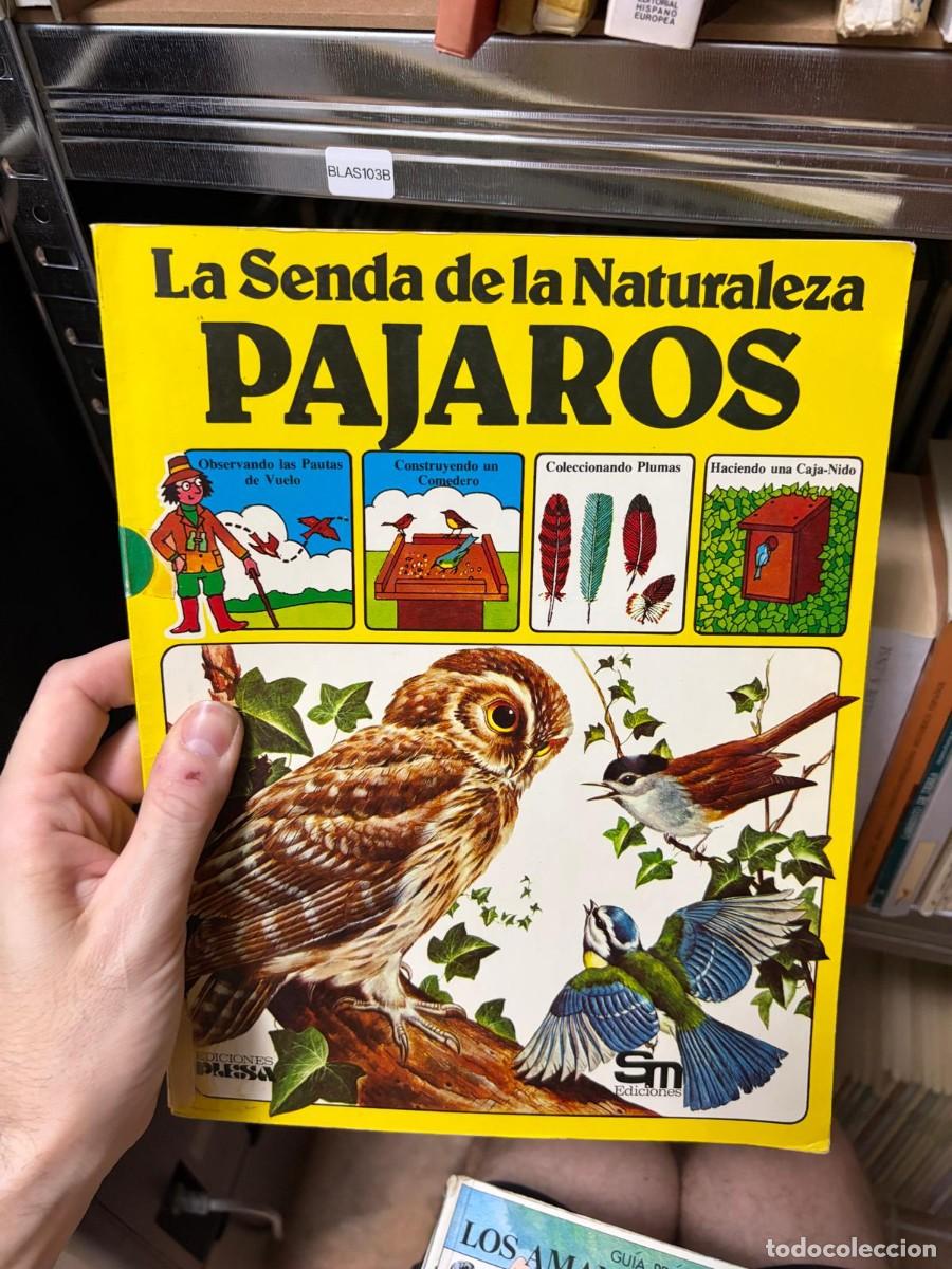 Libros de segunda mano: BLAS103B La Senda de la Naturaleza. P&aacute;jaros - - Ediciones Orbis