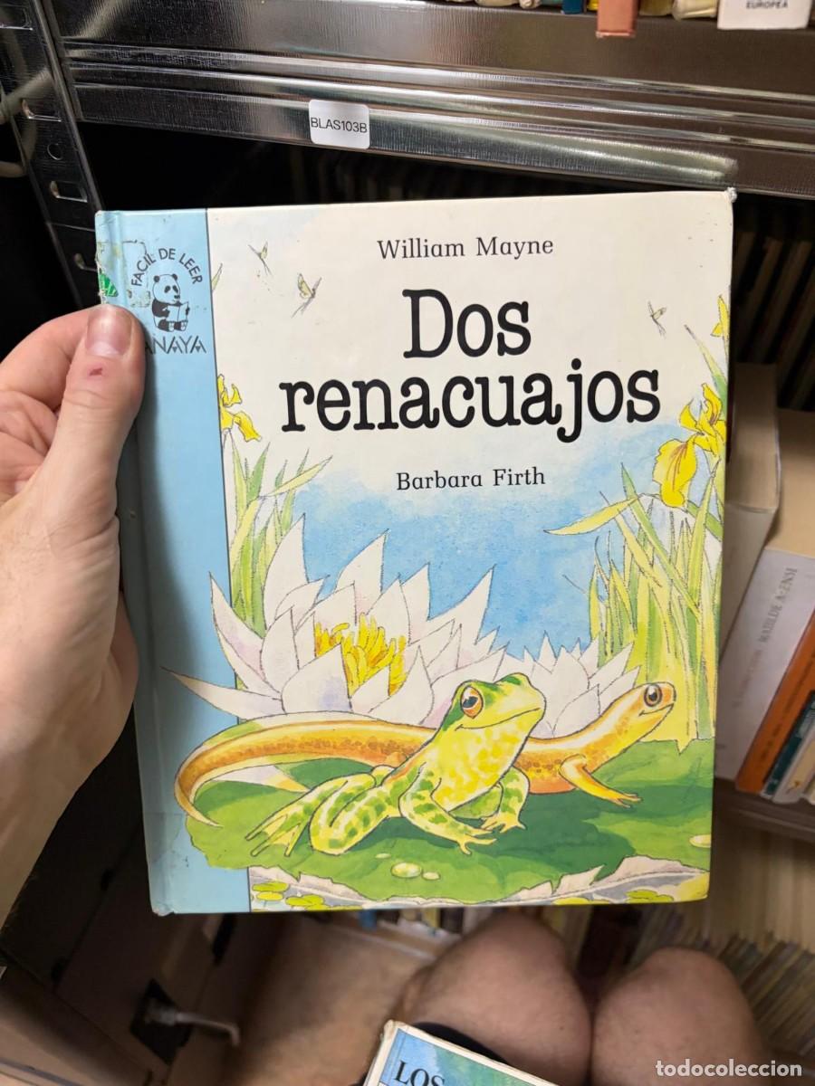 Libros de segunda mano: BLAS103B Dos renacuajos - William Mayne - Anaya