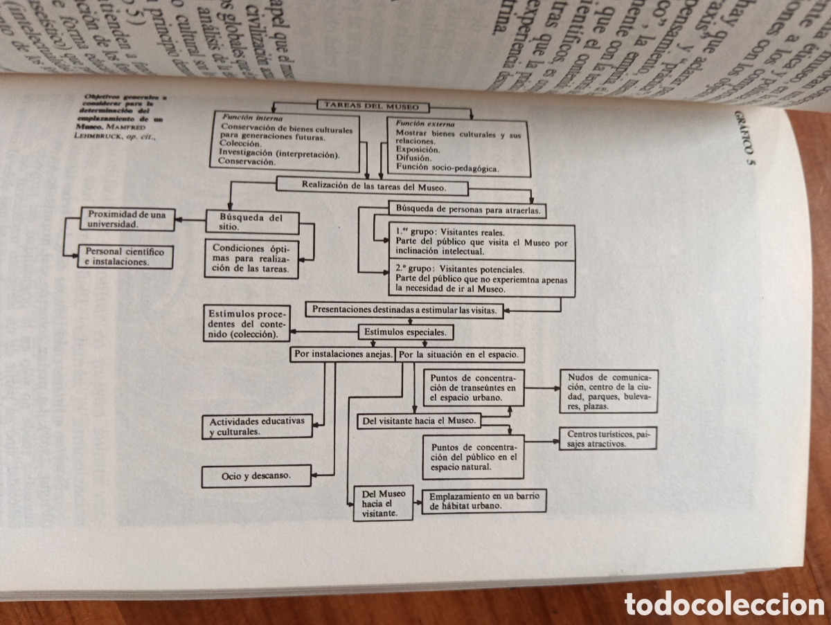 Libros de segunda mano: El museo, Teor&iacute;a, praxis y utop&iacute;a, Aurora Le&oacute;n - Foto 3