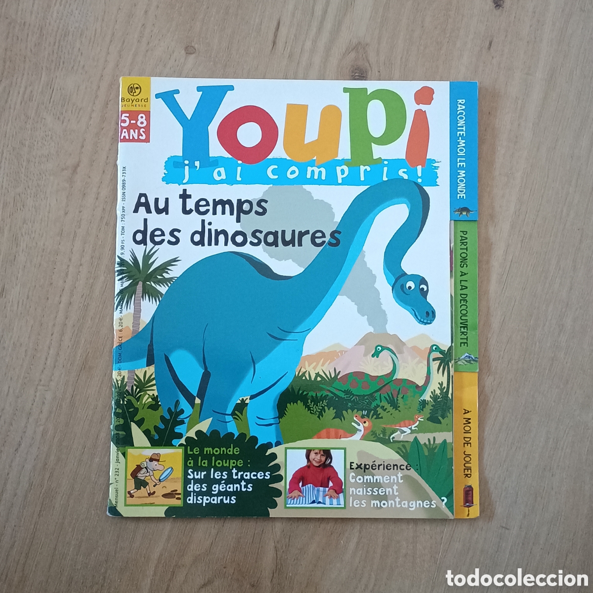 Livros em segunda m&atilde;o: Youpi j'ai compris n&deg; 232 Bayard Jeunesse