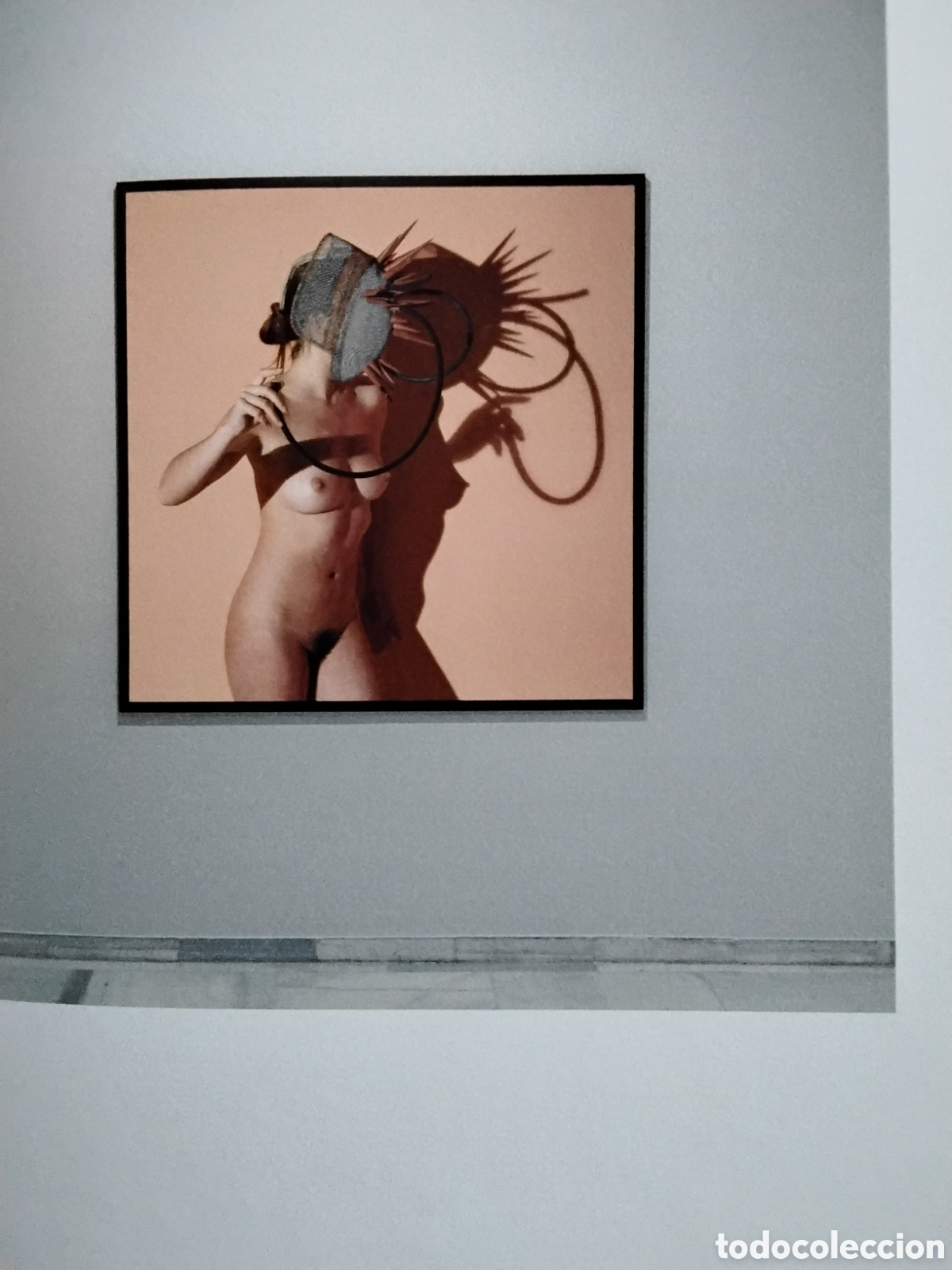 Libros de segunda mano: MIQUEL NAVARRO. FLUIDS - Foto 7