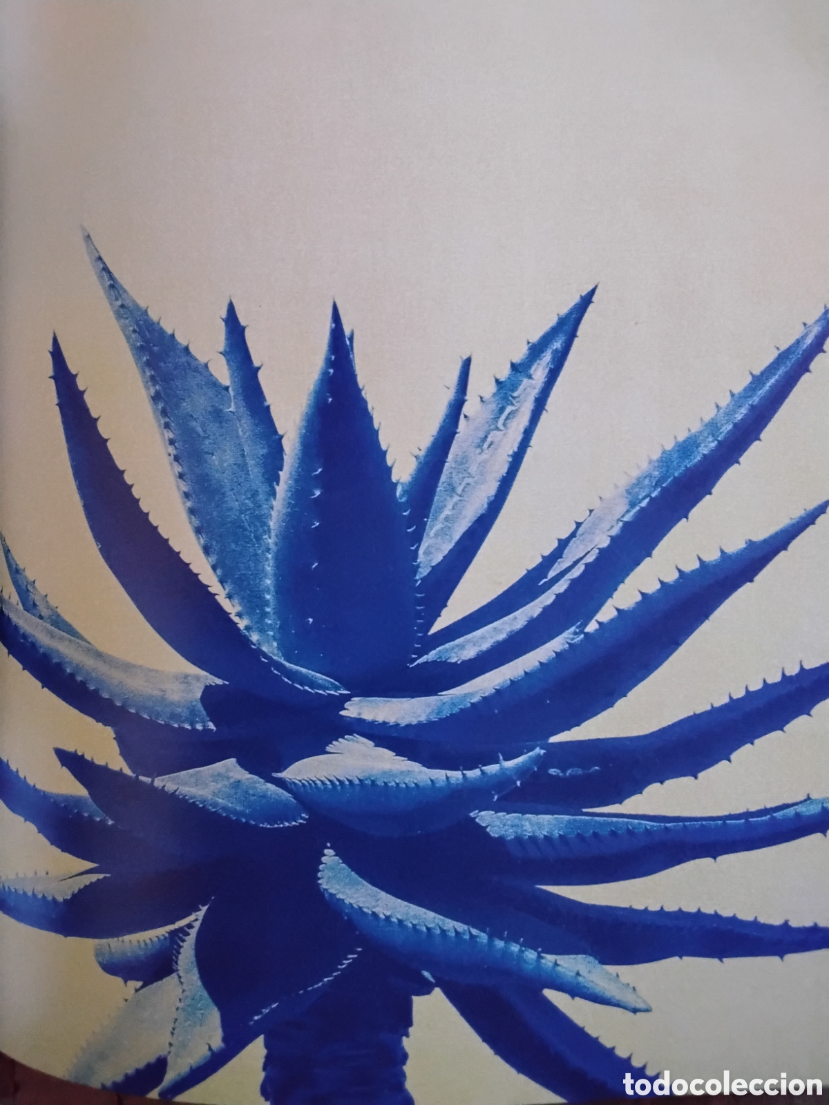 Libros de segunda mano: MIQUEL NAVARRO. FLUIDS - Foto 8