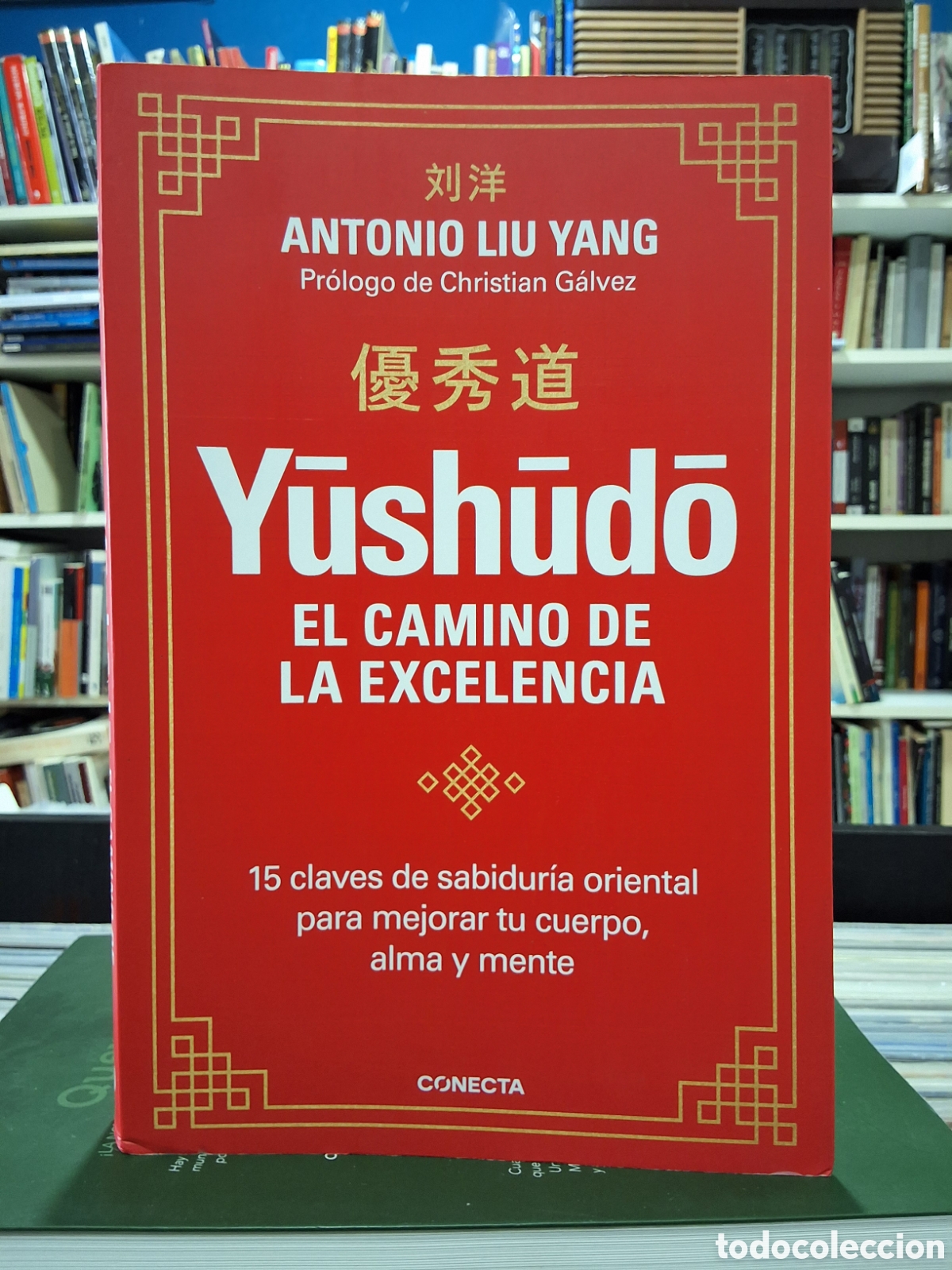 Libros de segunda mano: YUSHUDO - EL CAMINO DE LA EXCELENCIA- LIU YANG - SABIDURIA ORIENTAL - AUTOAYUDA -ENV&Iacute;O DESDE 1,95 &euro;