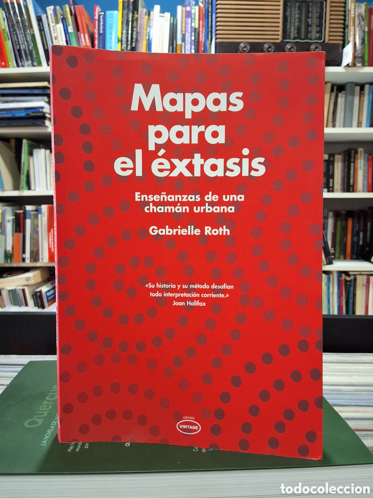 Libros de segunda mano: MAPAS PARA EL &Eacute;XTASIS - ENSE&Ntilde;ANZAS DE UNA CHAM&Aacute;N URBANA - G. ROTH - CRECIMIENTO PERSONAL