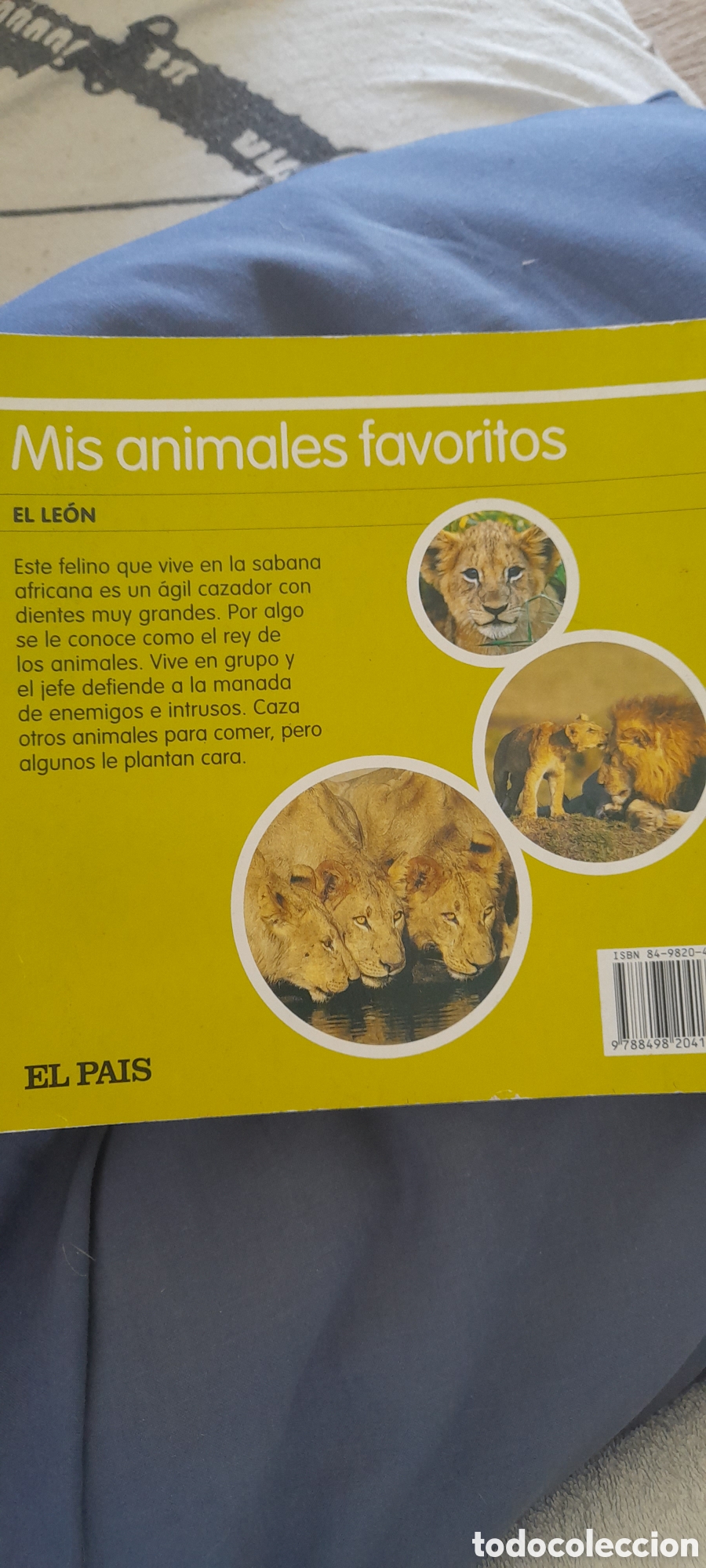 Libros de segunda mano: Mis animales favoritos. El le&oacute;n - Foto 2