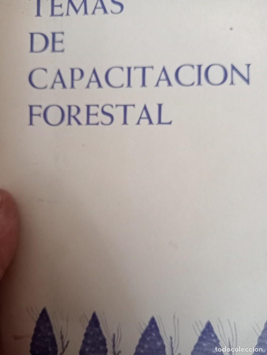Libros de segunda mano: LIBRO ANTIGUO MINISTERIO AGRICULTURA DIEZ TEMAS CAPACITACI&Oacute;N FORESTAL, CHOPOS, RESINAS, ORDENACI&Oacute;N
