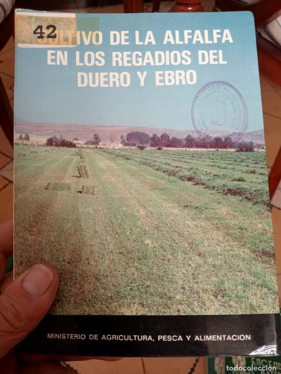 Libros de segunda mano: LIBRO ANTIGUO MINISTERIO AGRICULTURA CULTIVO ALFALFA REGAD&Iacute;OS DEL DUERO Y EBRO