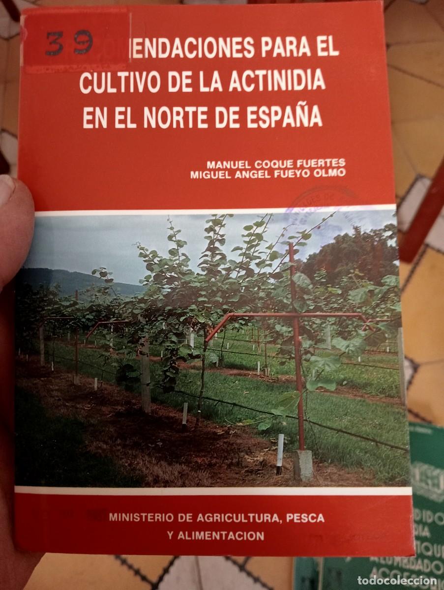 Libros de segunda mano: LIBRO ANTIGUO MINISTERIO AGRICULTURA CULTIVO ACTINIDIA NORTE ESPA&Ntilde;A COQUE FUERTES FUEYO OLMO