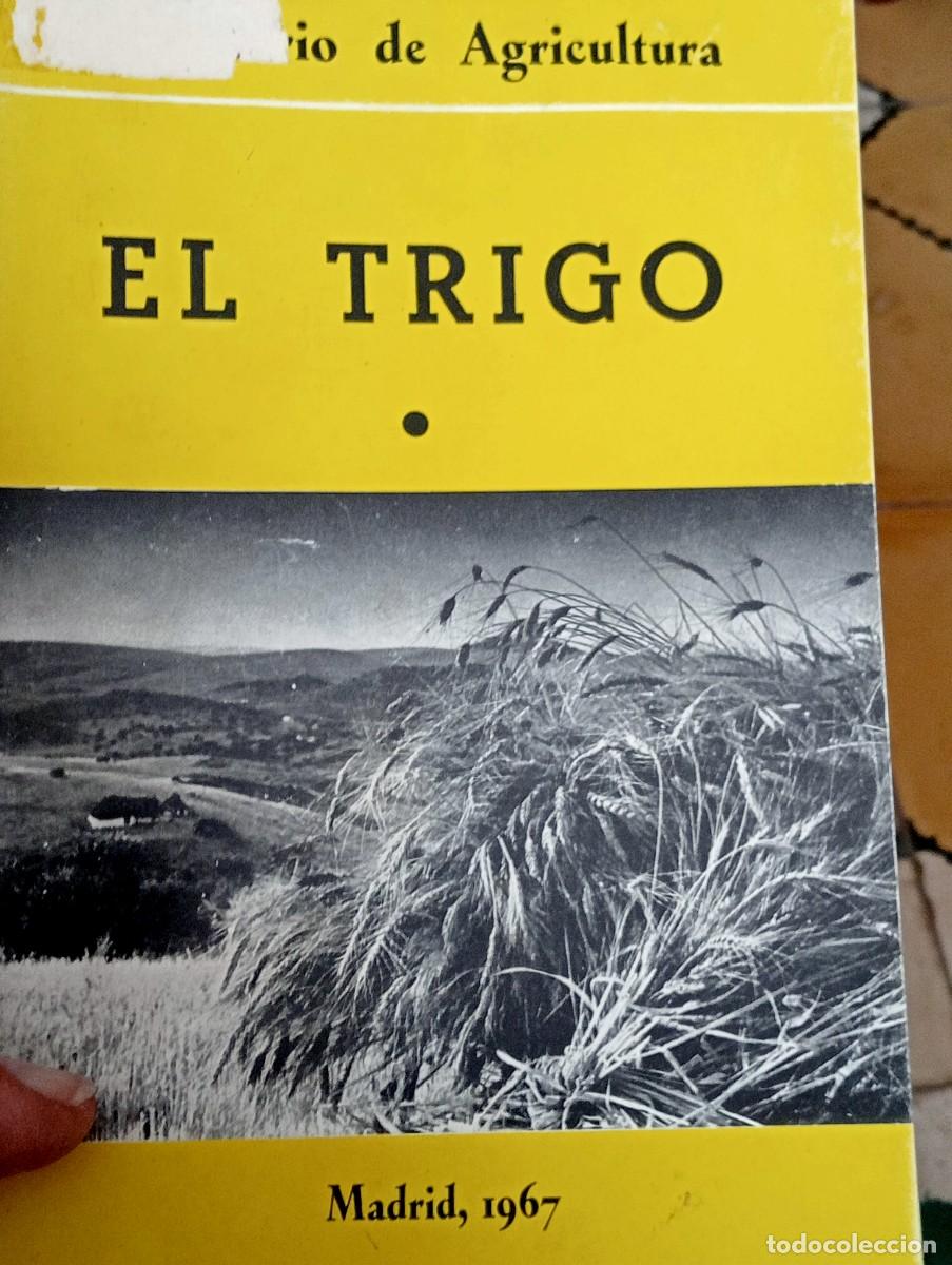 Libros de segunda mano: LIBRO AGRICULTURA EL TRIGO 1967 AGRICOLA