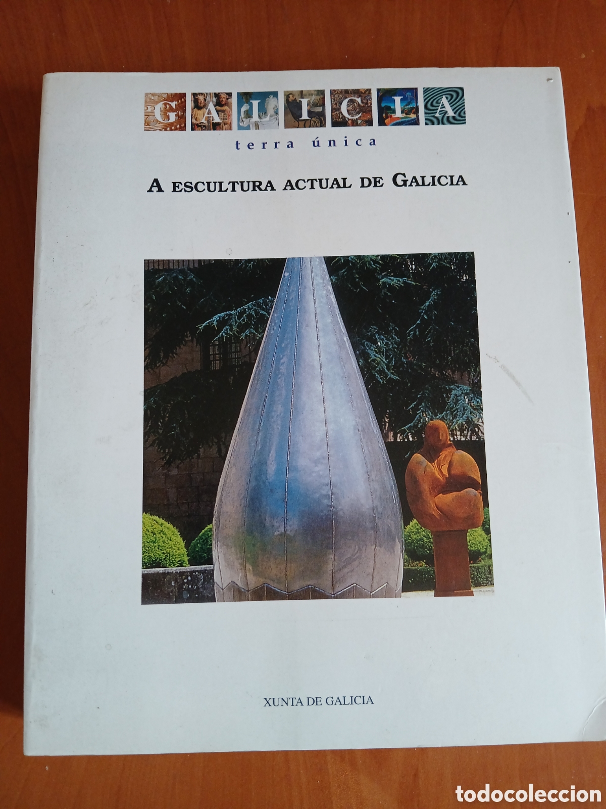Libros de segunda mano: A Escultura Actual de Galicia. Xunta de Galicia. GALICIA.