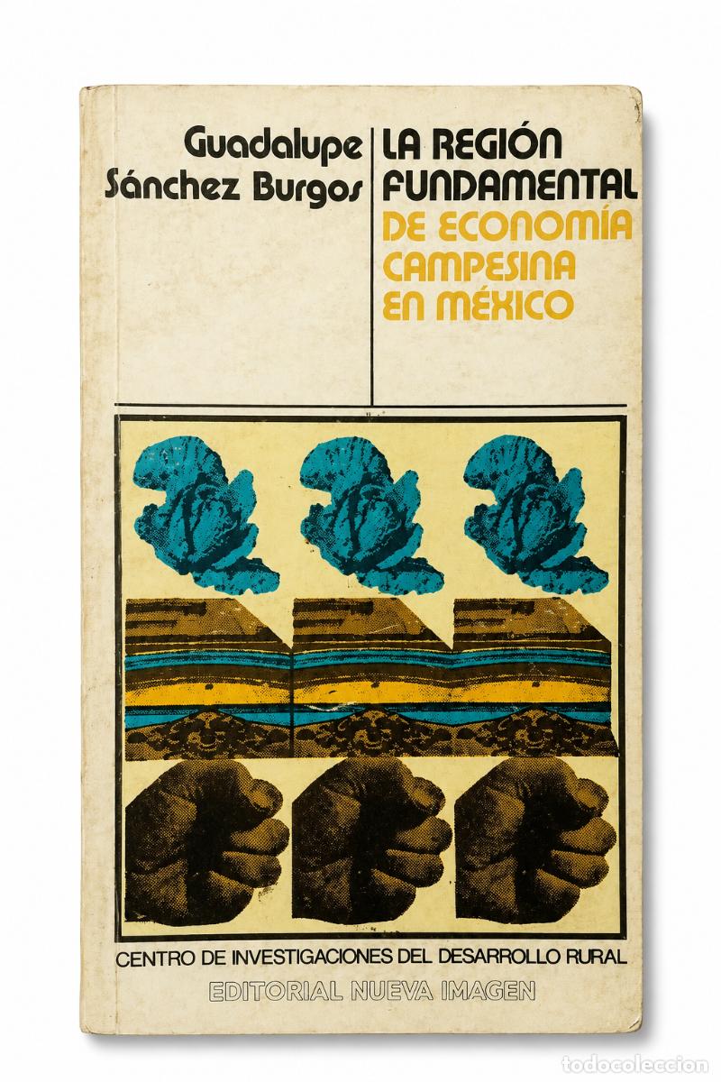 Libros de segunda mano: GUADALUPE S&Aacute;NCHEZ BURGOS &ndash; LA REGI&Oacute;N FUNDAMENTAL DE ECONOM&Iacute;A CAMPESINA EN M&Eacute;XICO &ndash; LM