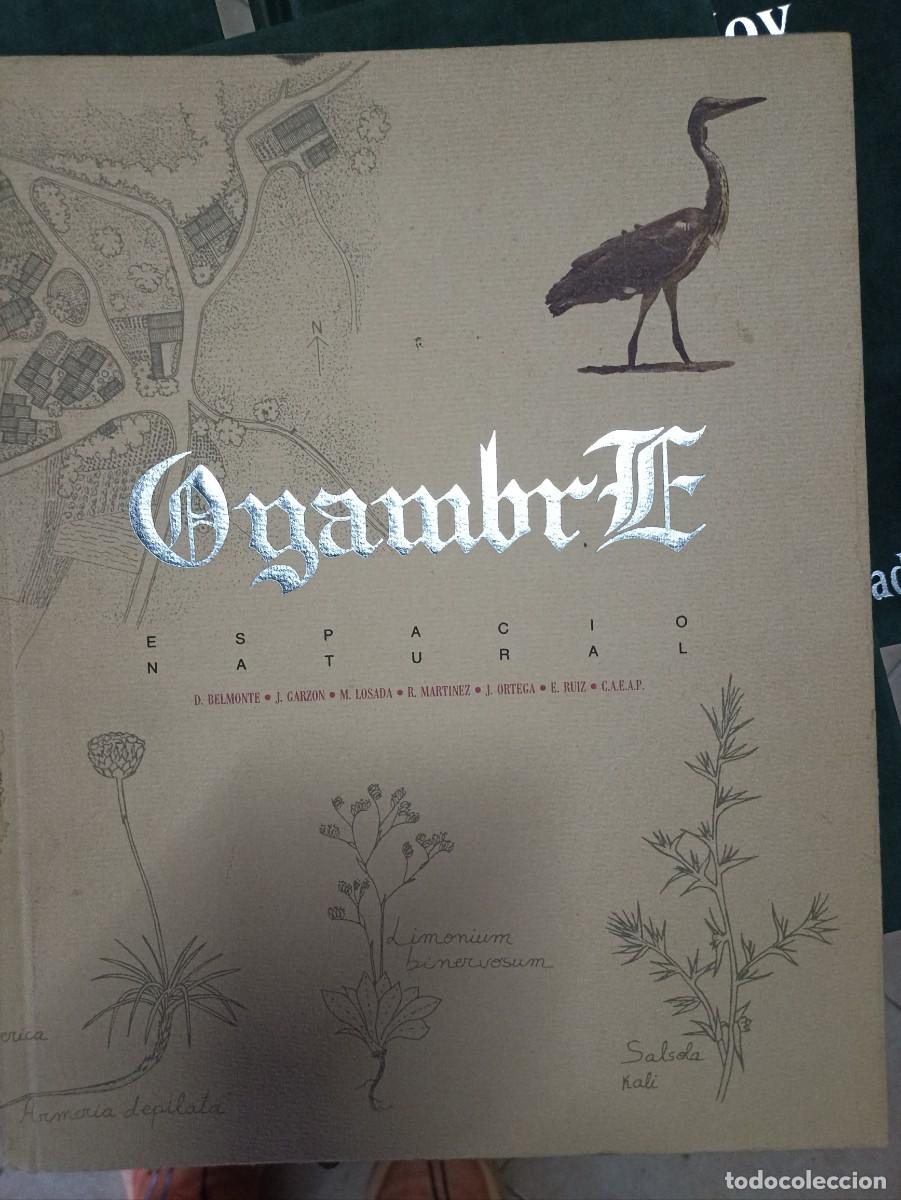Libros de segunda mano: LIBRO CANTABRIA OYAMBRE ESPACIO NATURAL.PERFECTO ESTADO.TAL Y COMO SE VE EN FOTOS