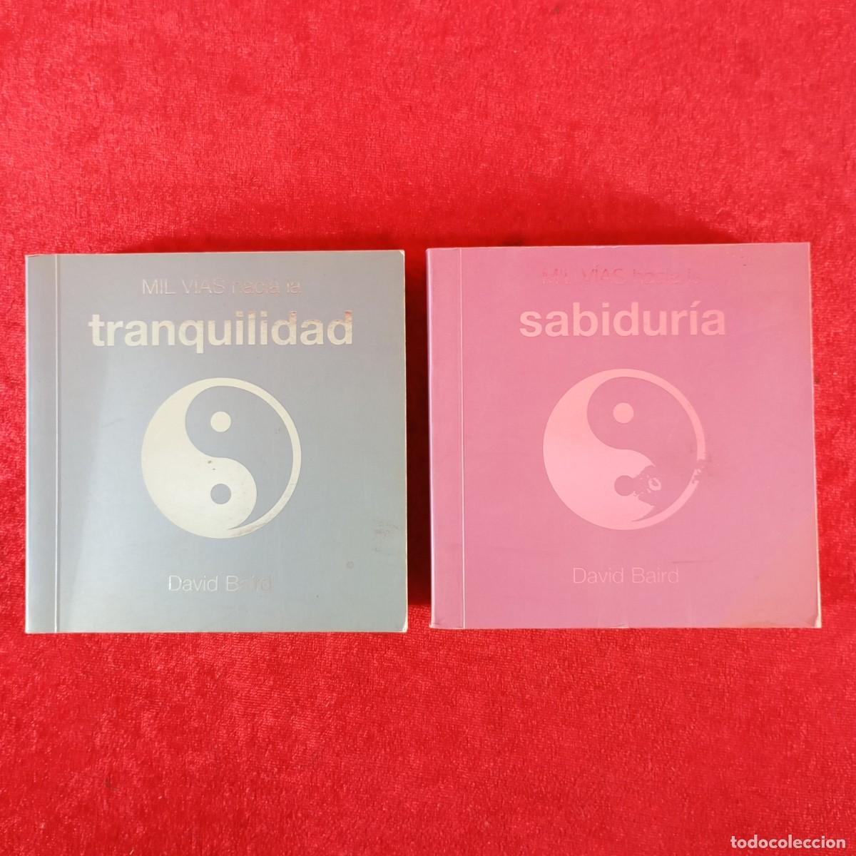 Libros de segunda mano: MIL V&Iacute;AS HACIA LA SABIDUR&Iacute;A - MIL V&Iacute;A HACIA LA TRANQUILIDAD - DAVID BAIRD - 2 LIBROS / 350