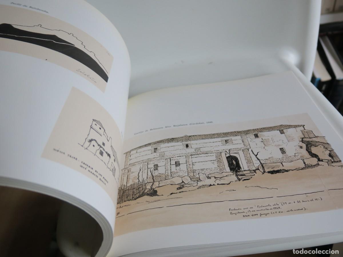 Libros de segunda mano: Cuadernos de Campo - J. Caro Baroja - Foto 4
