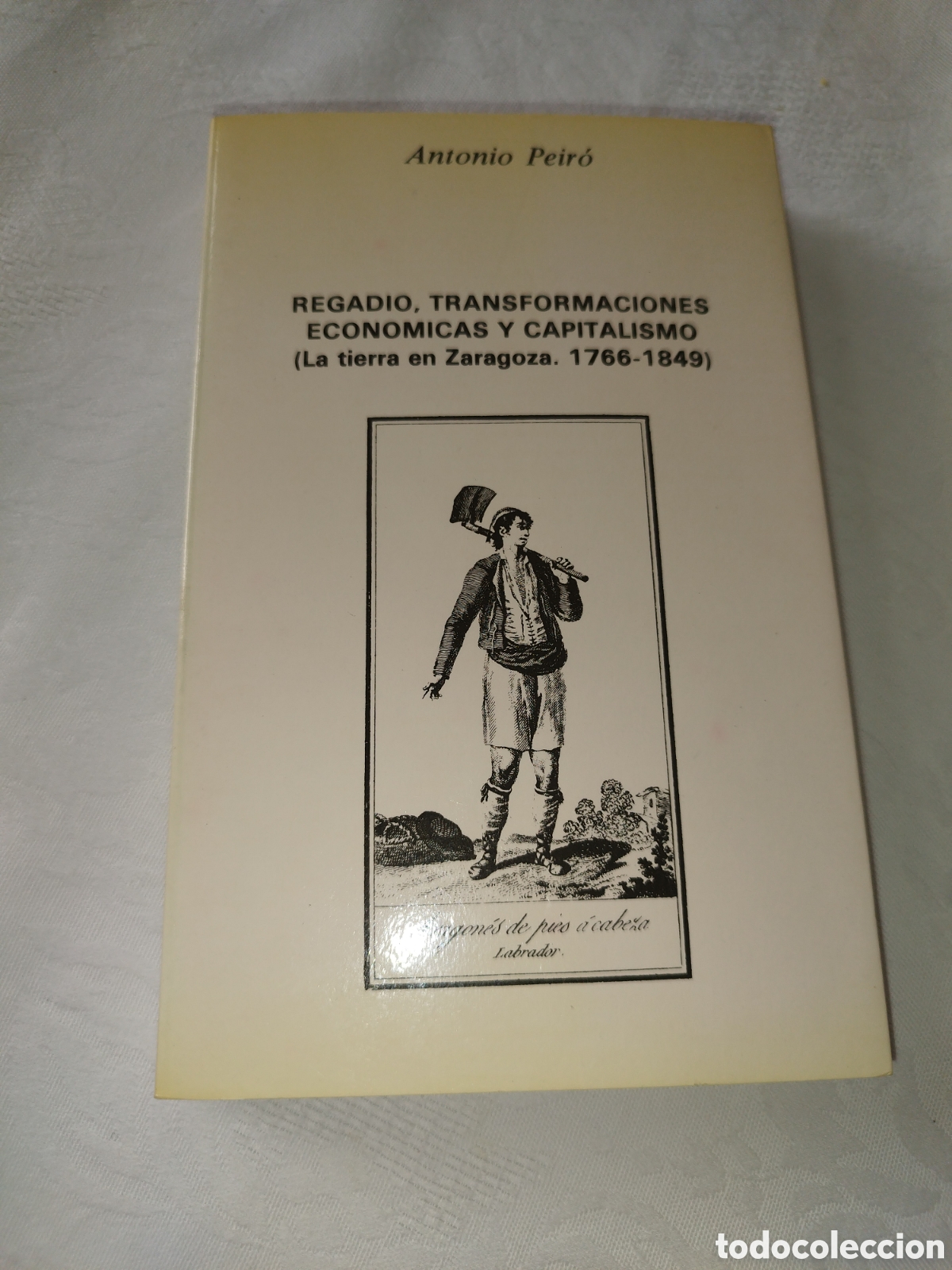 Second hand books: A. PEIR&Oacute;: REGADIO, TRANSFORMACIONES ECONOMICAS Y CAPITALISMO (1766-1849). DGA, 1988 PRIMERA EDICION.
