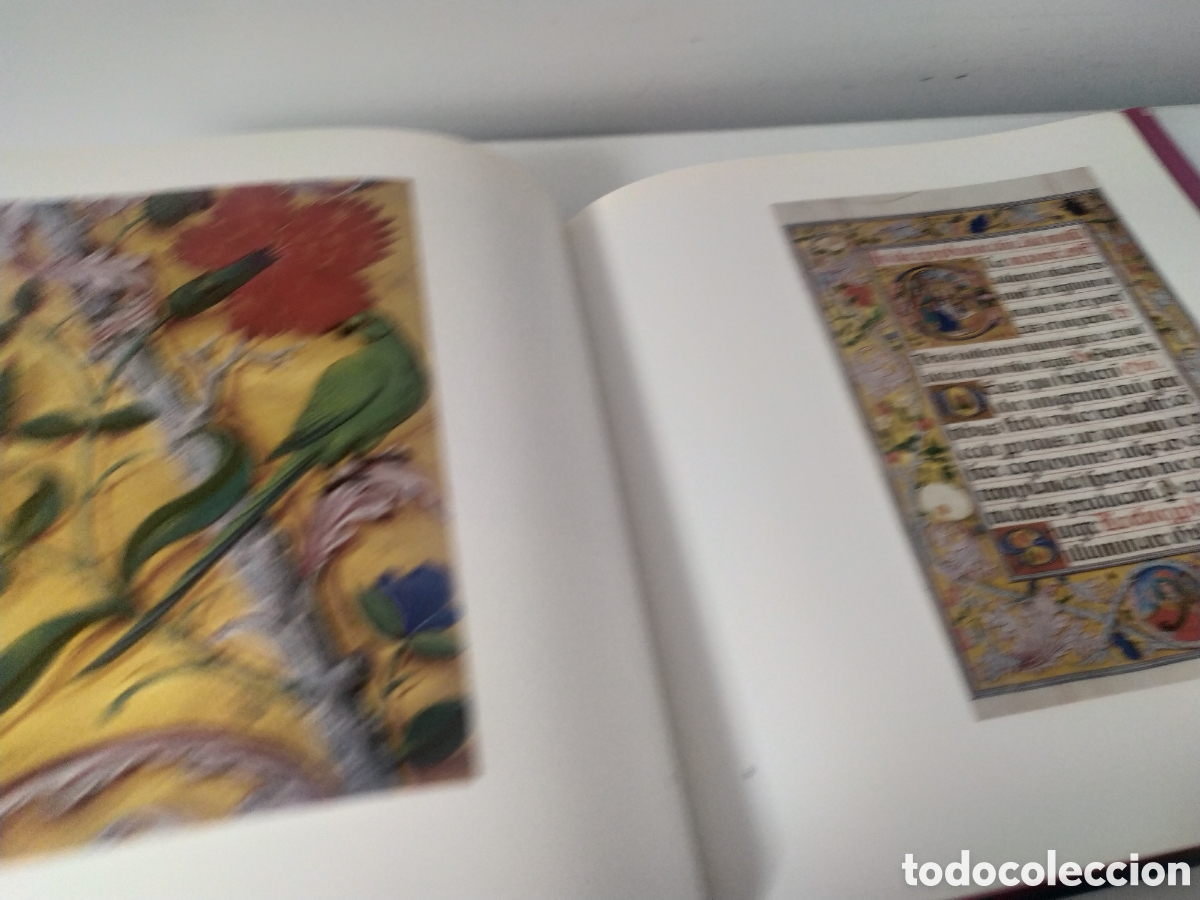 Libros de segunda mano: MISAL RICO DE CISNEROS - MUNTADA TORRELLAS, ANNA- 2000 - Foto 13