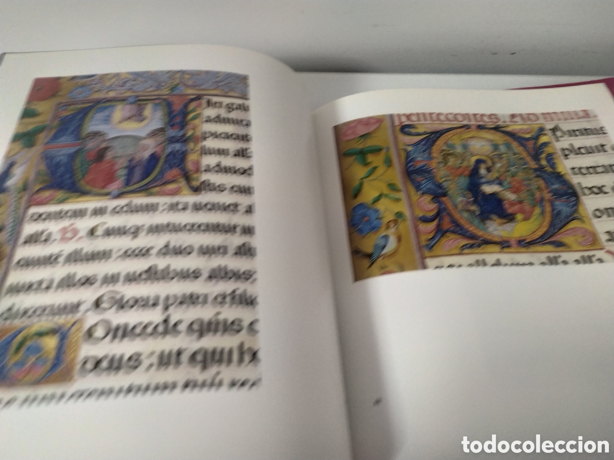 Libros de segunda mano: MISAL RICO DE CISNEROS - MUNTADA TORRELLAS, ANNA- 2000 - Foto 15