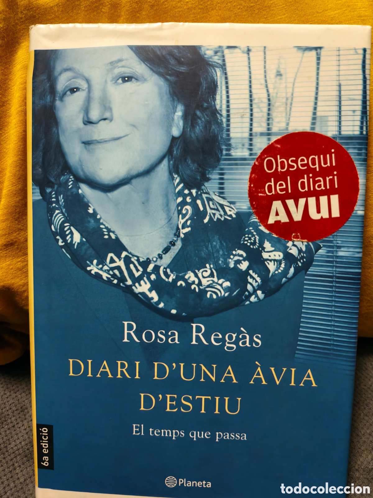 Libros de segunda mano: Diario d'una av&iacute;a d' estiu, Rosa Reg&aacute;s