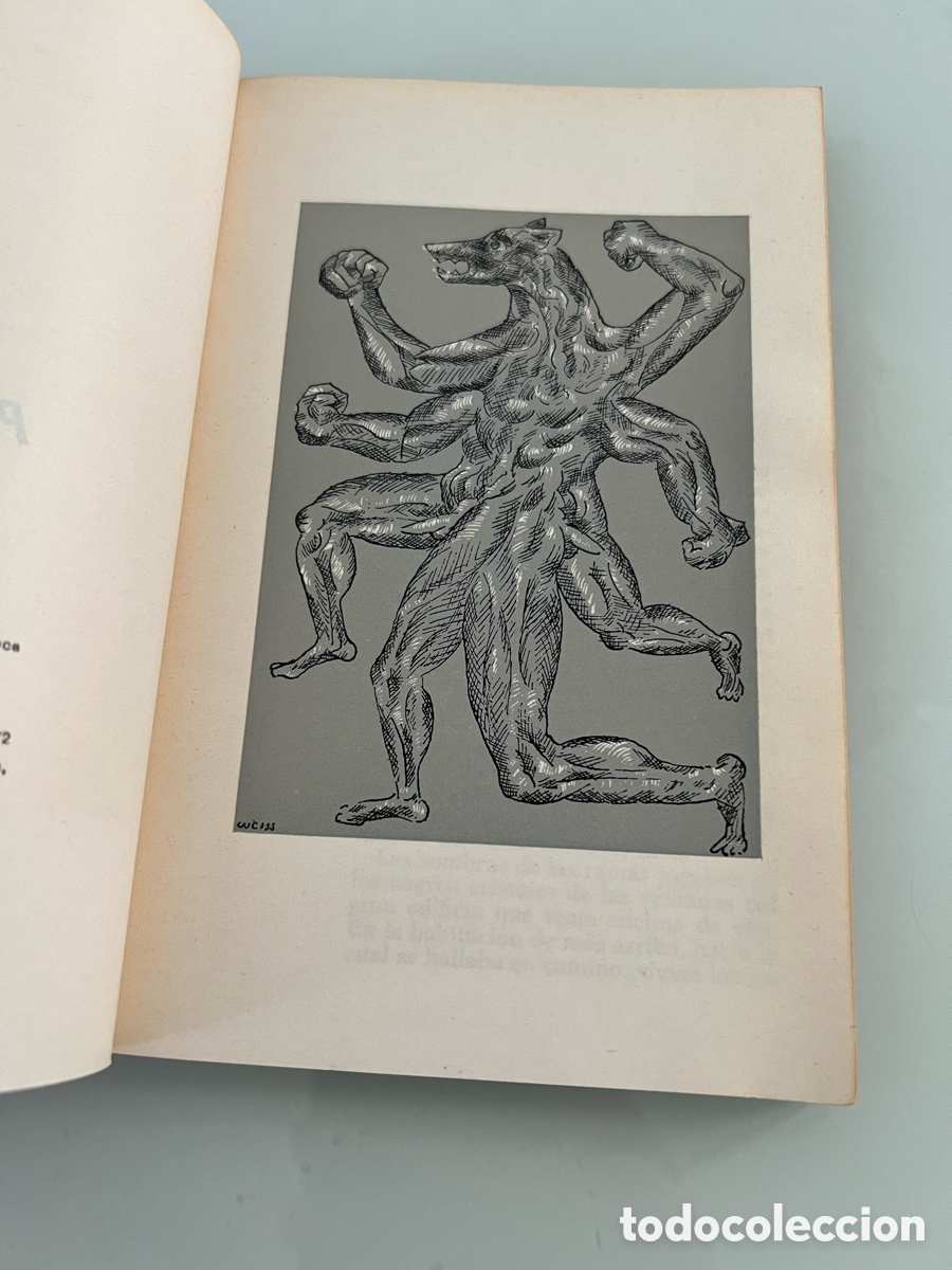 Libros de segunda mano: El duelo. Peter Weiss. Lumen 1&ordf; ed. 1973 - Foto 5