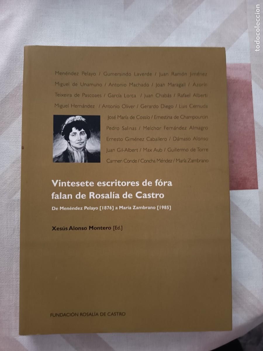 Libros de segunda mano: Vintesete escritores de fora falan de Rosal&iacute;a de Castro. 1997. R&uacute;stica. Galicia.