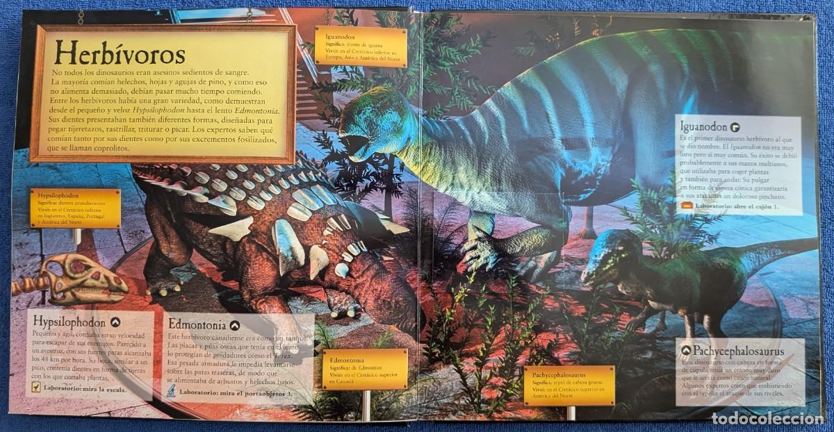 Libros de segunda mano: El museo de dinosaurios - Jen Green - Bru&ntilde;o (2009) - Foto 6