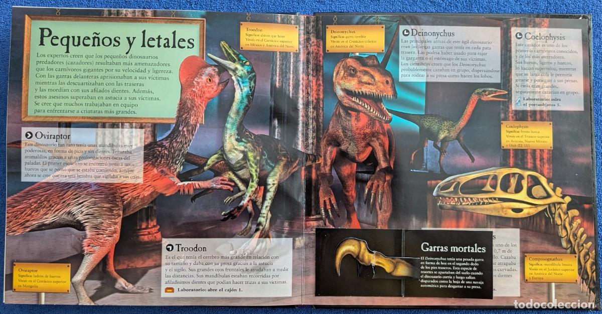 Libros de segunda mano: El museo de dinosaurios - Jen Green - Bru&ntilde;o (2009) - Foto 8