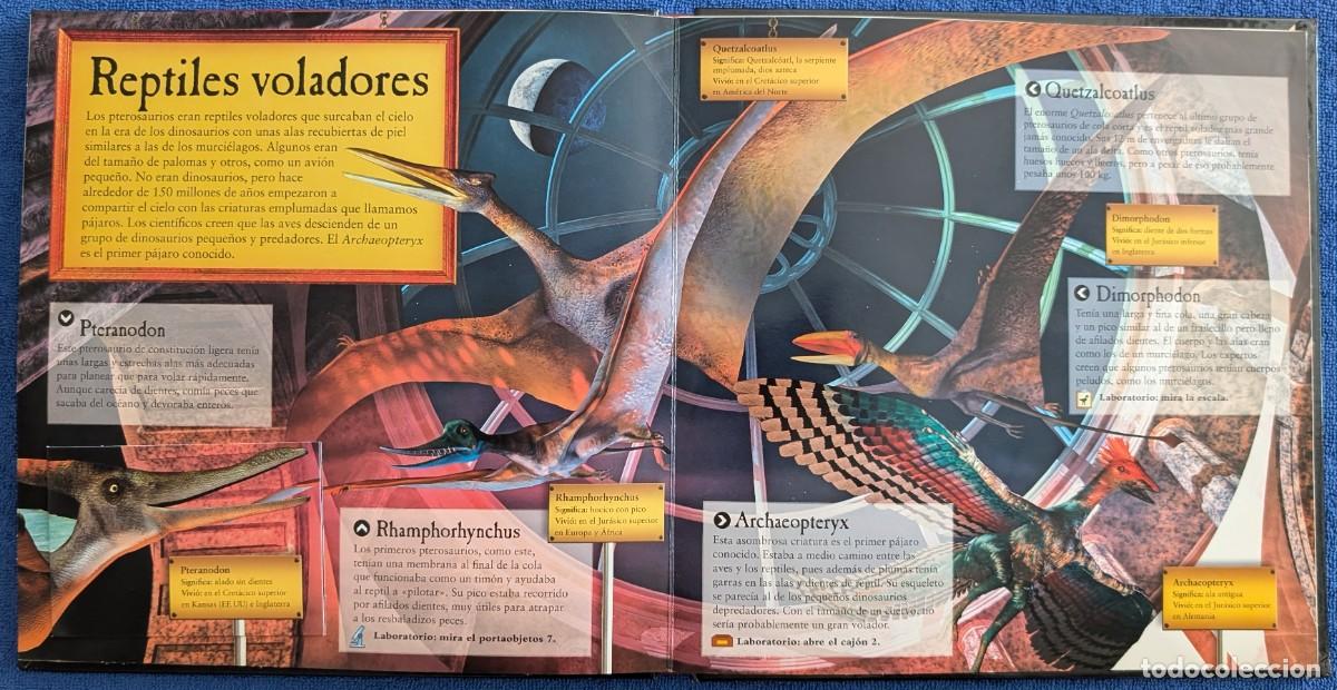 Libros de segunda mano: El museo de dinosaurios - Jen Green - Bru&ntilde;o (2009) - Foto 10