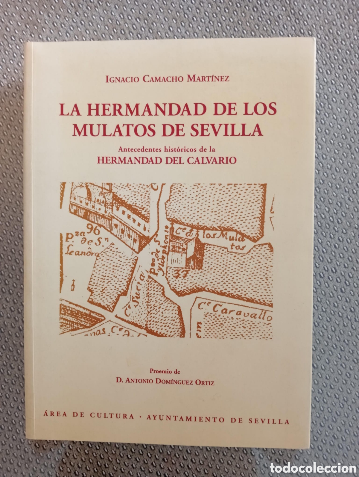 Libros de segunda mano: La hermandad de los mulatos de Sevilla. Ignacio Camacho Mart&iacute;nez. Hermandad del Calvario
