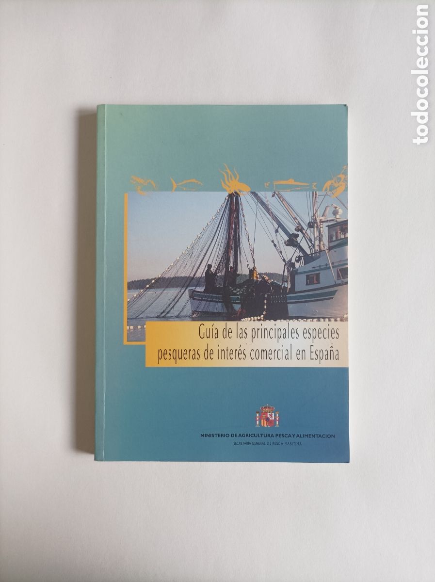 Libros de segunda mano: Gu&iacute;a de las principales especies pesqueras de inter&eacute;s en Espa&ntilde;a. MAPA, 1998