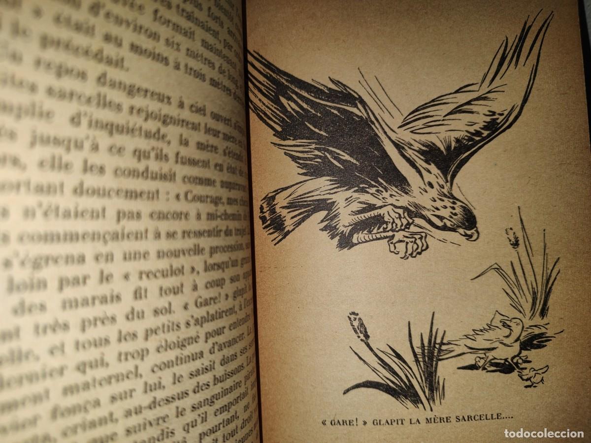 Libros de segunda mano: 201- Krag Le Mouflon - E. T. Seton - Hachette, 1954 - Foto 8