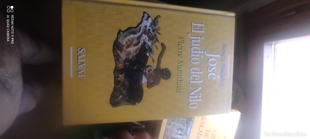 Libros de segunda mano: JOS&Eacute; EL JUD&Iacute;OS DEL NILO/PIERRE MONTLAUR