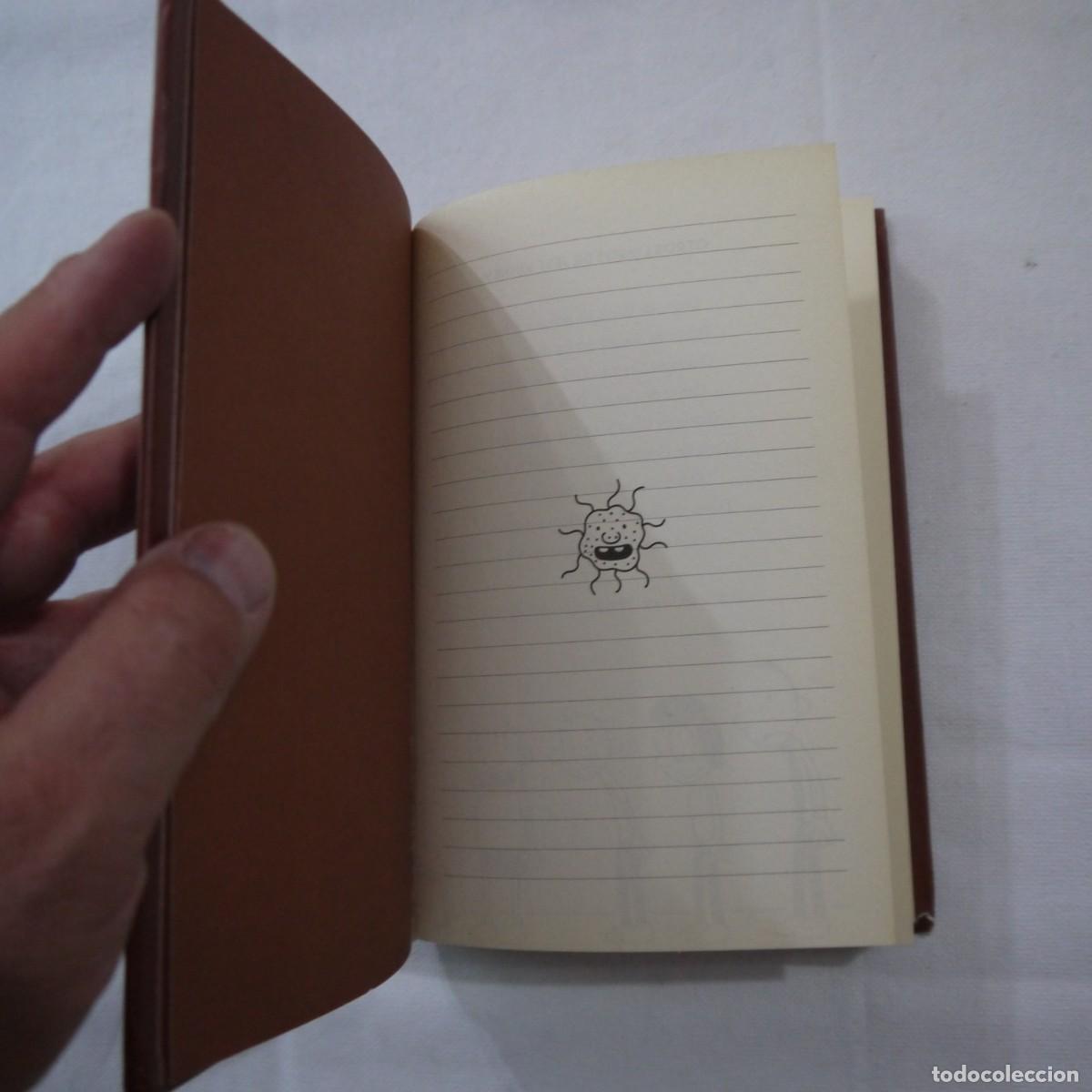 Libros de segunda mano: DIARIO DE GREG 7. BUSCANDO PLAN&hellip; - JEFF KINNEY - RBA - 2015 - Foto 3