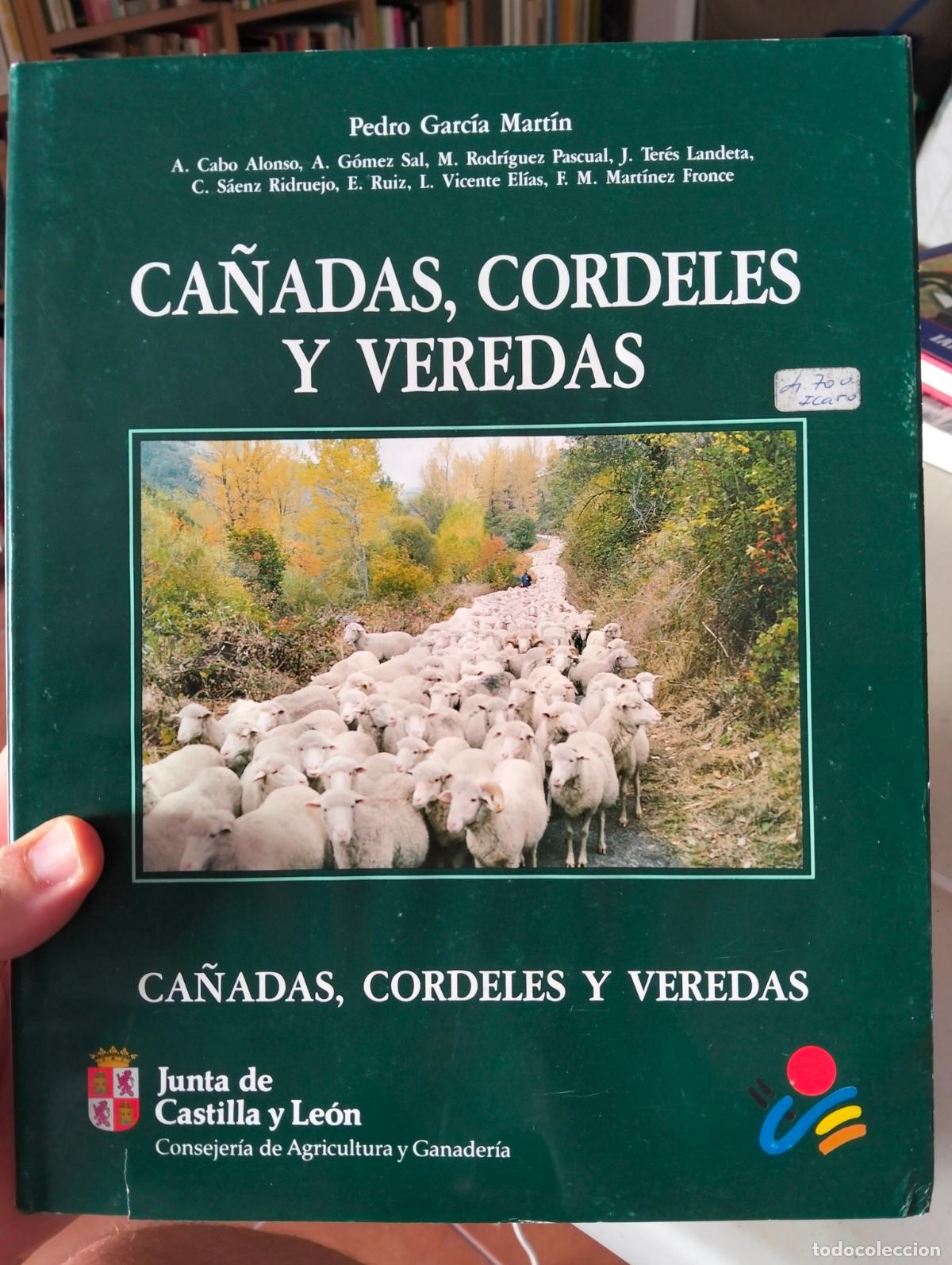 Libros de segunda mano: Historia. Ganaderia. Ca&ntilde;adas, Cordeles y Veredas, P. Garcia. ed. C. y Leon, 1992 VISITA CATALOGO