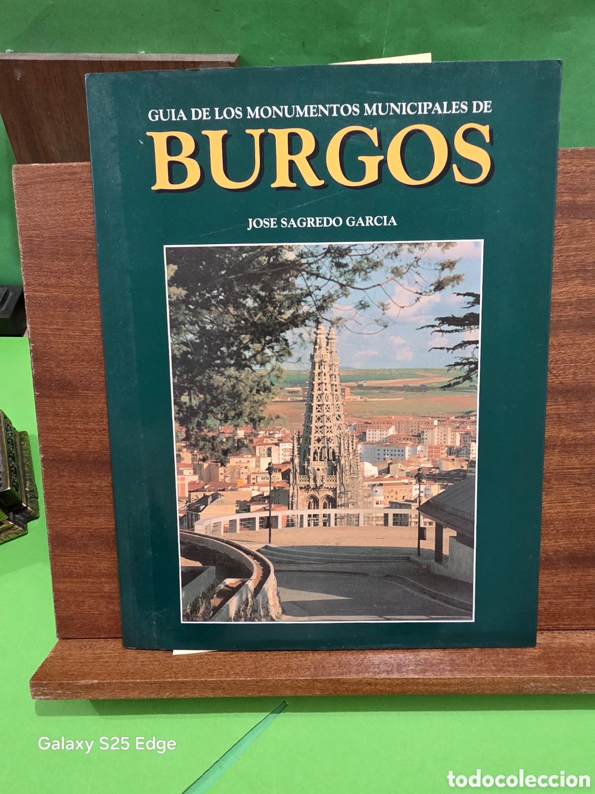Libros de segunda mano: &rdquo;&rdquo;GU&Iacute;A DE MONUMENTOS MUNICIPALES DE BURGOS&rdquo;&rdquo;... JOSE SAGREDO GARC&Iacute;A...1996...