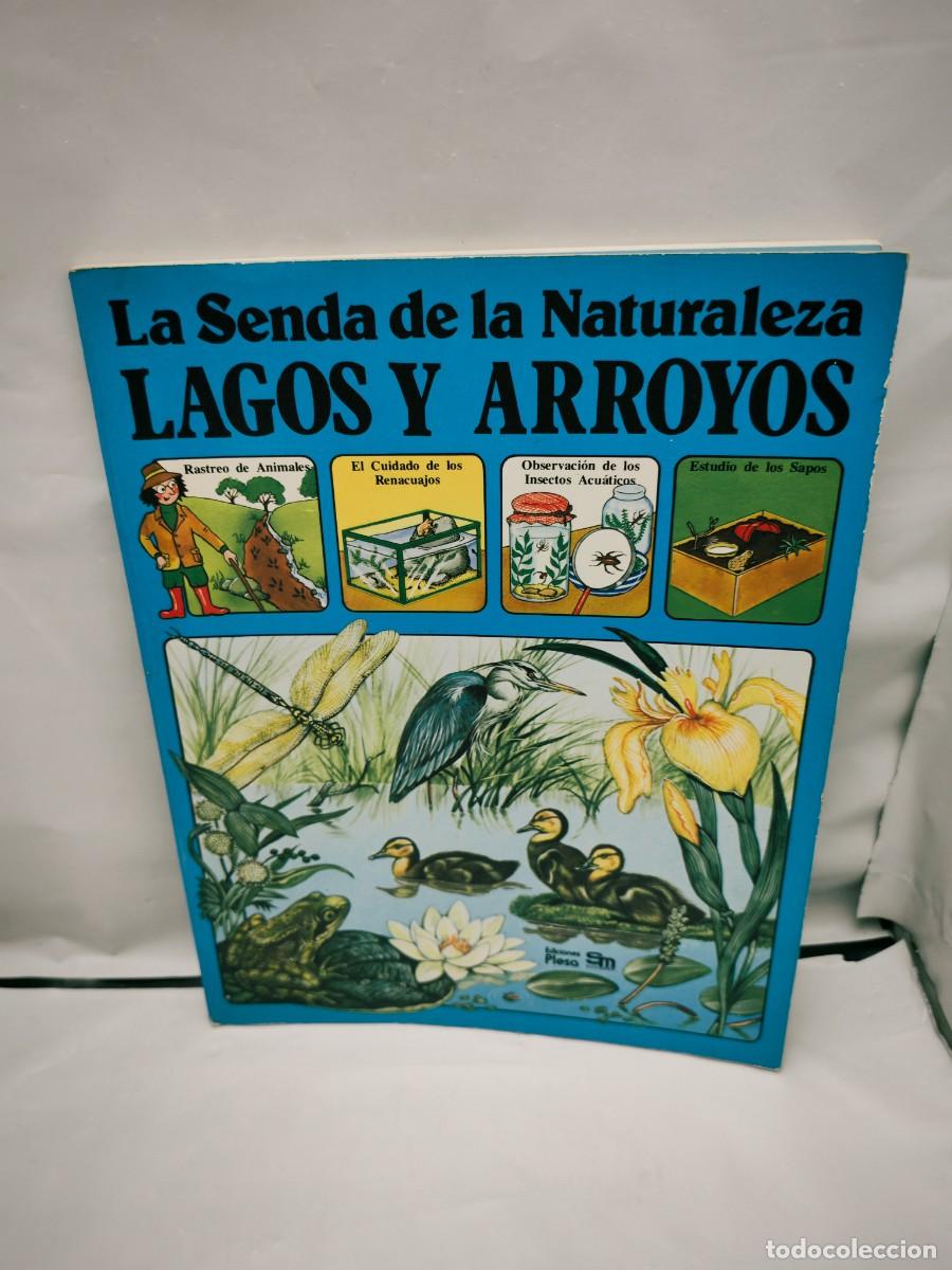 Second hand books: LA SENDA DE LA NATURALEZA: Lagos y Arroyos. Identifica animales y plantas de agua dulce