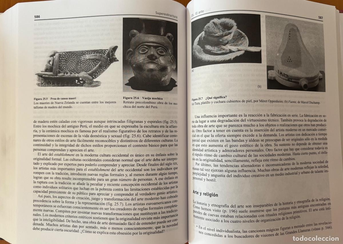 Libros de segunda mano: ANTROPOLOGIA- INTRODUCCION- MARVIN HARRIS- 2004 - Foto 12