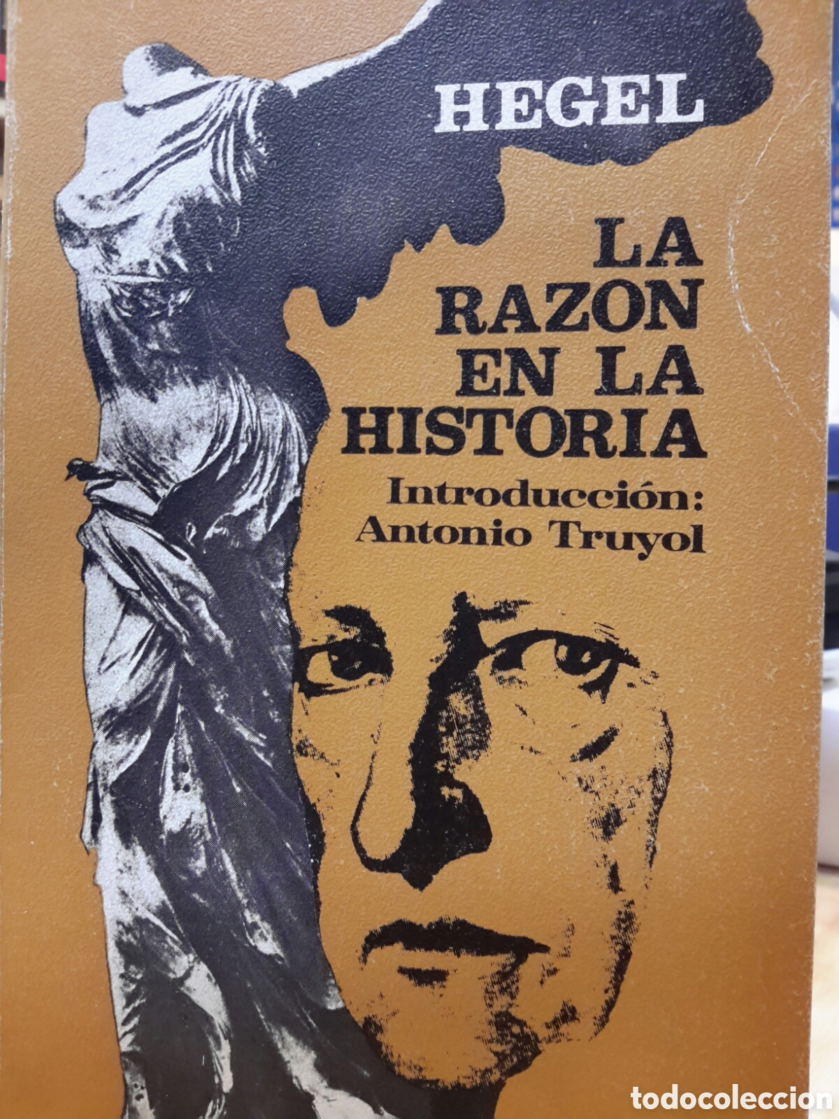 Libros de segunda mano: G. W. F. Hegel. La Razon En La Historia