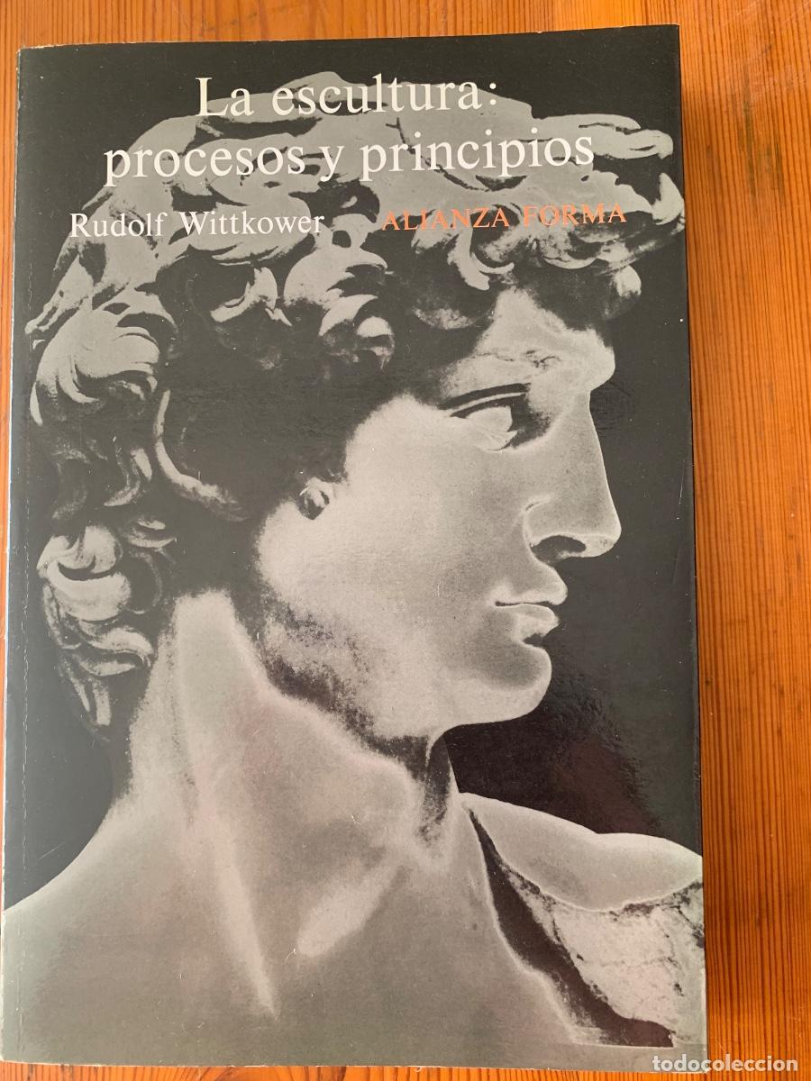 Libros de segunda mano: La Escultura: Procesos y Principios (Bols 19)