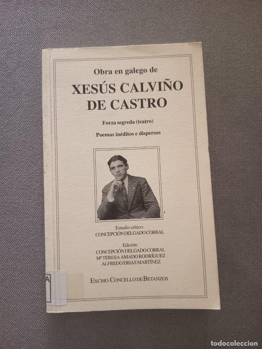 Libros de segunda mano: Obra en galego de Xesus Calvi&ntilde;o de Castro. 1999. R&uacute;stica. Ilustrado. Teatro. Poes&iacute;a. Galicia.