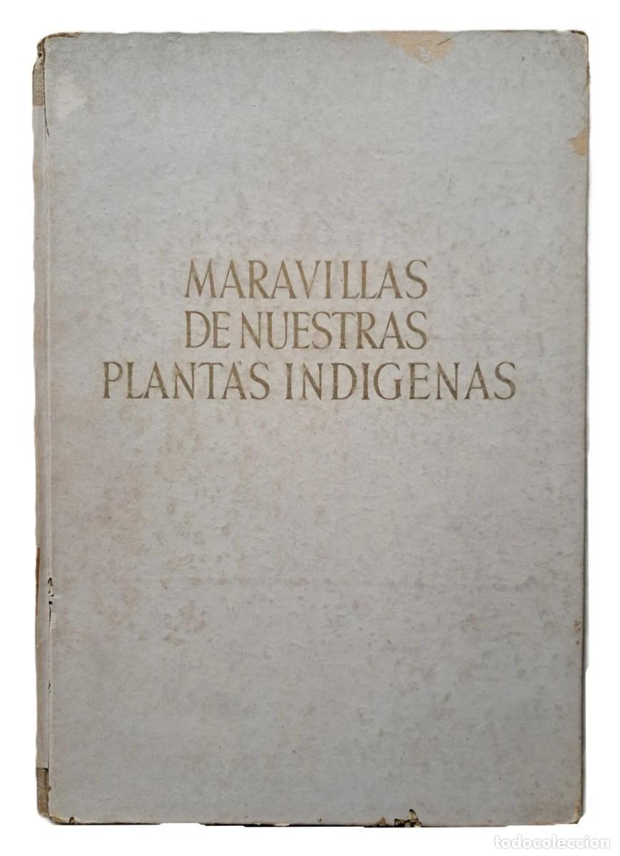 Libros de segunda mano: Rentzell, Ilse - Maravillas de nuestras plantas ind&iacute;genas - A. Saderman - (1935)