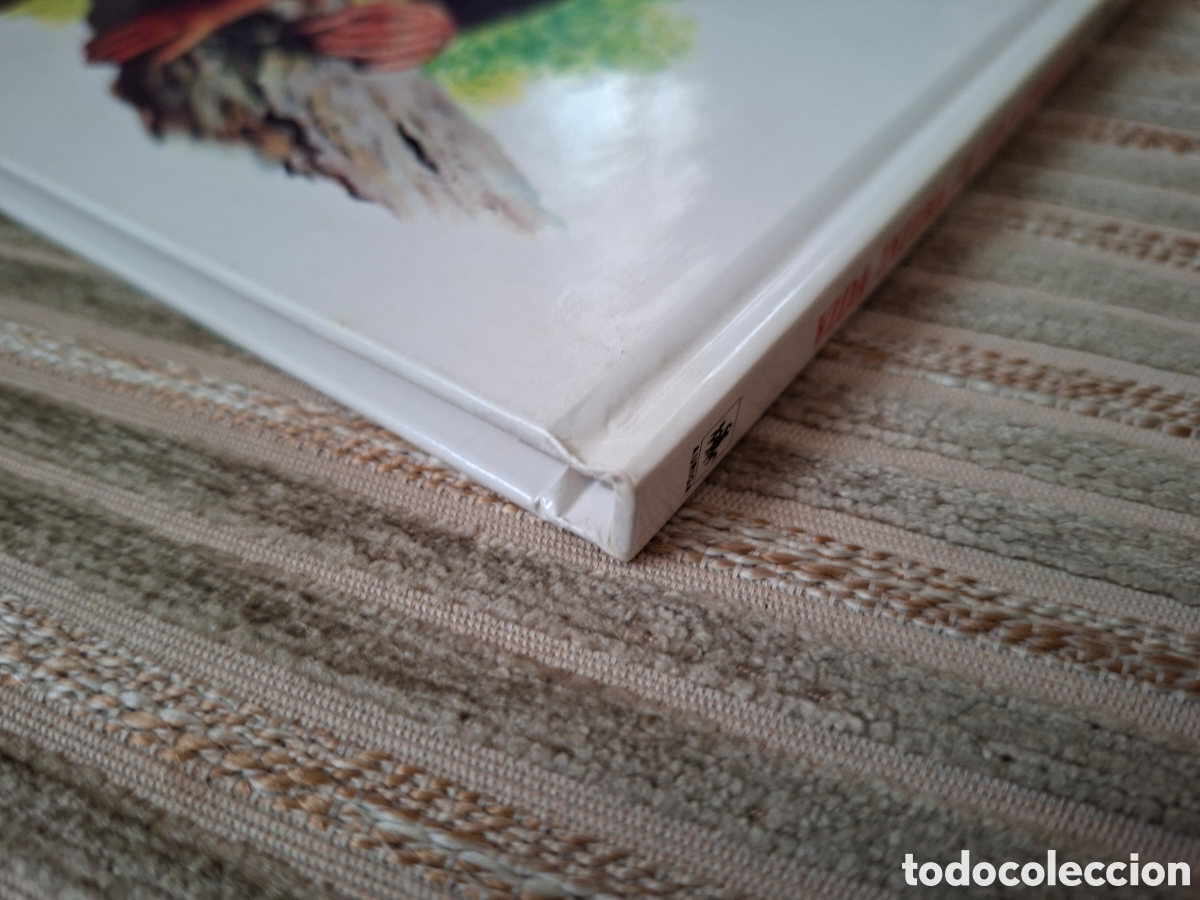 Libros de segunda mano: VIDA INTIMA DE LOS ANIMALES de AFRICA - Foto 9