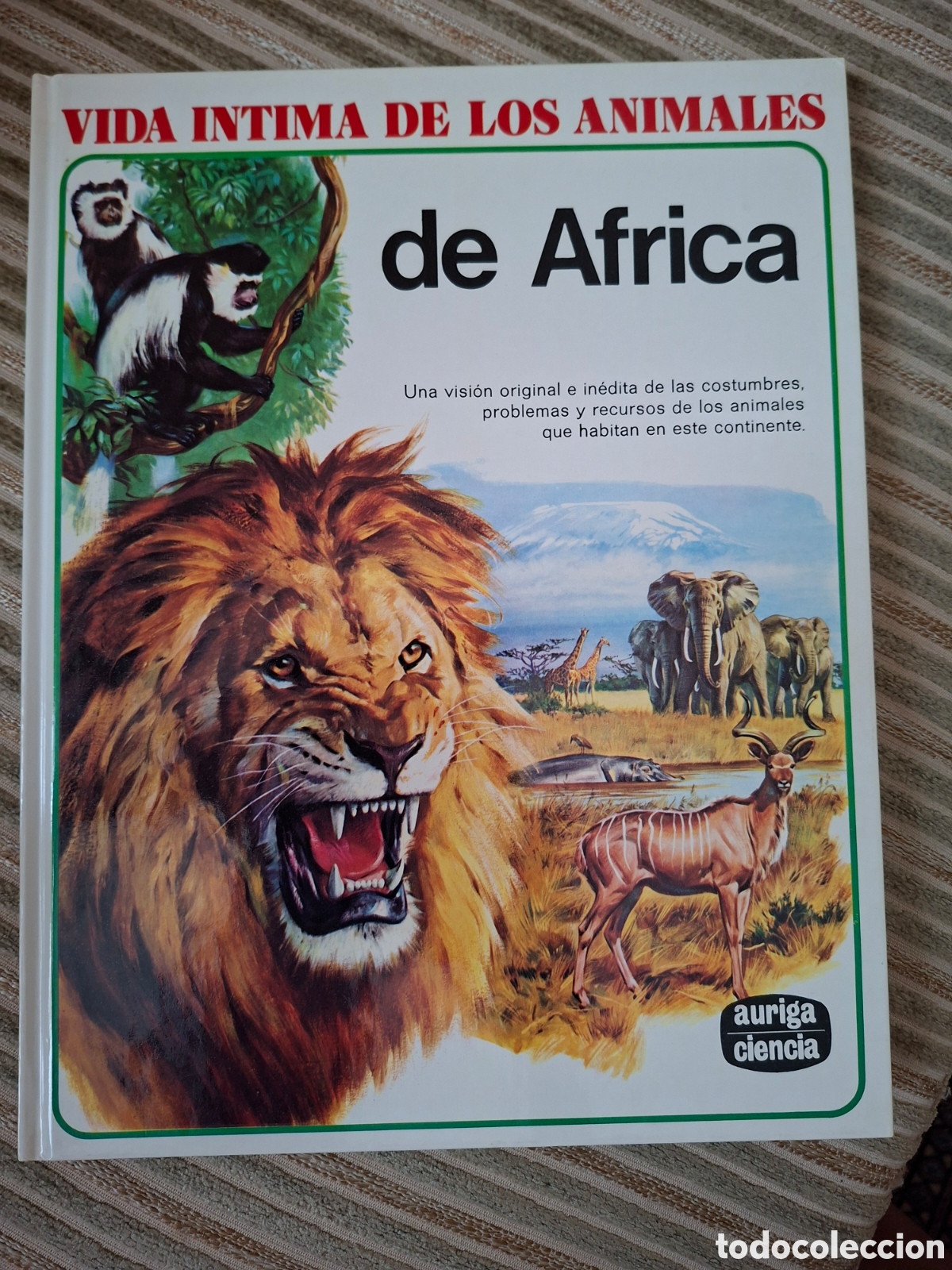 Libros de segunda mano: VIDA INTIMA DE LOS ANIMALES de AFRICA