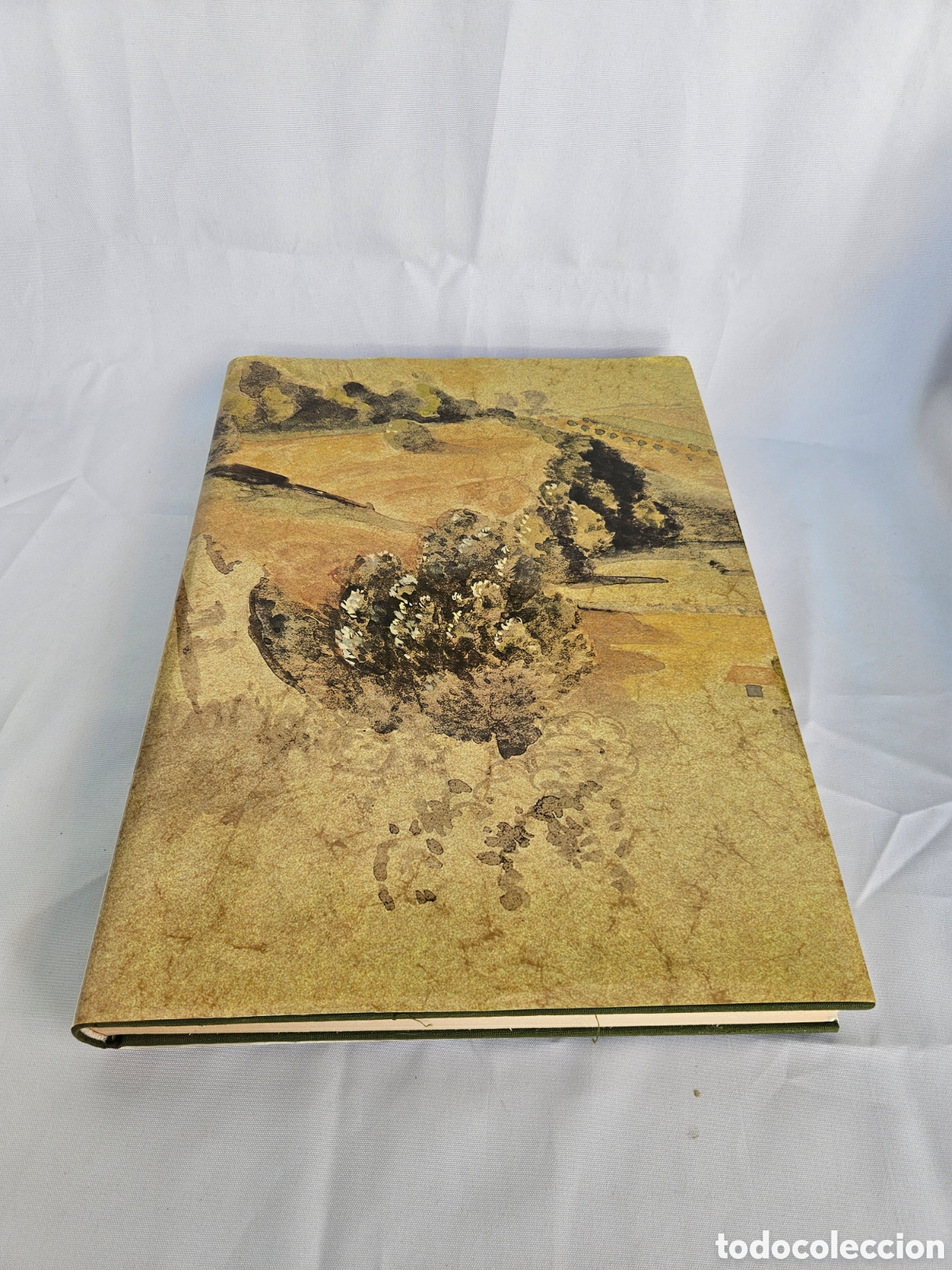 Gebrauchte B&uuml;cher: HISTORIA DE UN ARTE. LA ACUARELA. SKIRA CARROGGIO. TEXTO DE JEAN LEYMAIRE