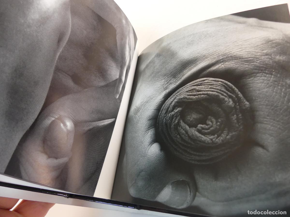 Libros de segunda mano: LIBRO - NUDES INDEXXI - Foto 6