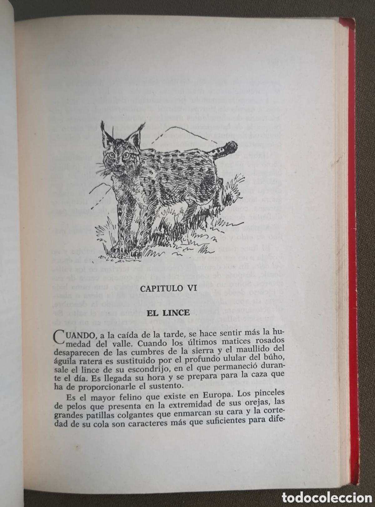 Libros de segunda mano: ALIMA&Ntilde;AS CAZA MENOR LIBRO DESCATALOGADO 1965 - Foto 6