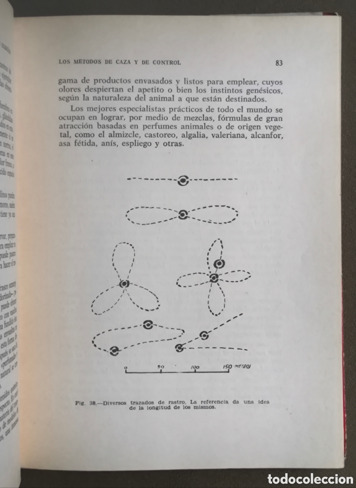 Libros de segunda mano: ALIMA&Ntilde;AS CAZA MENOR LIBRO DESCATALOGADO 1965 - Foto 7
