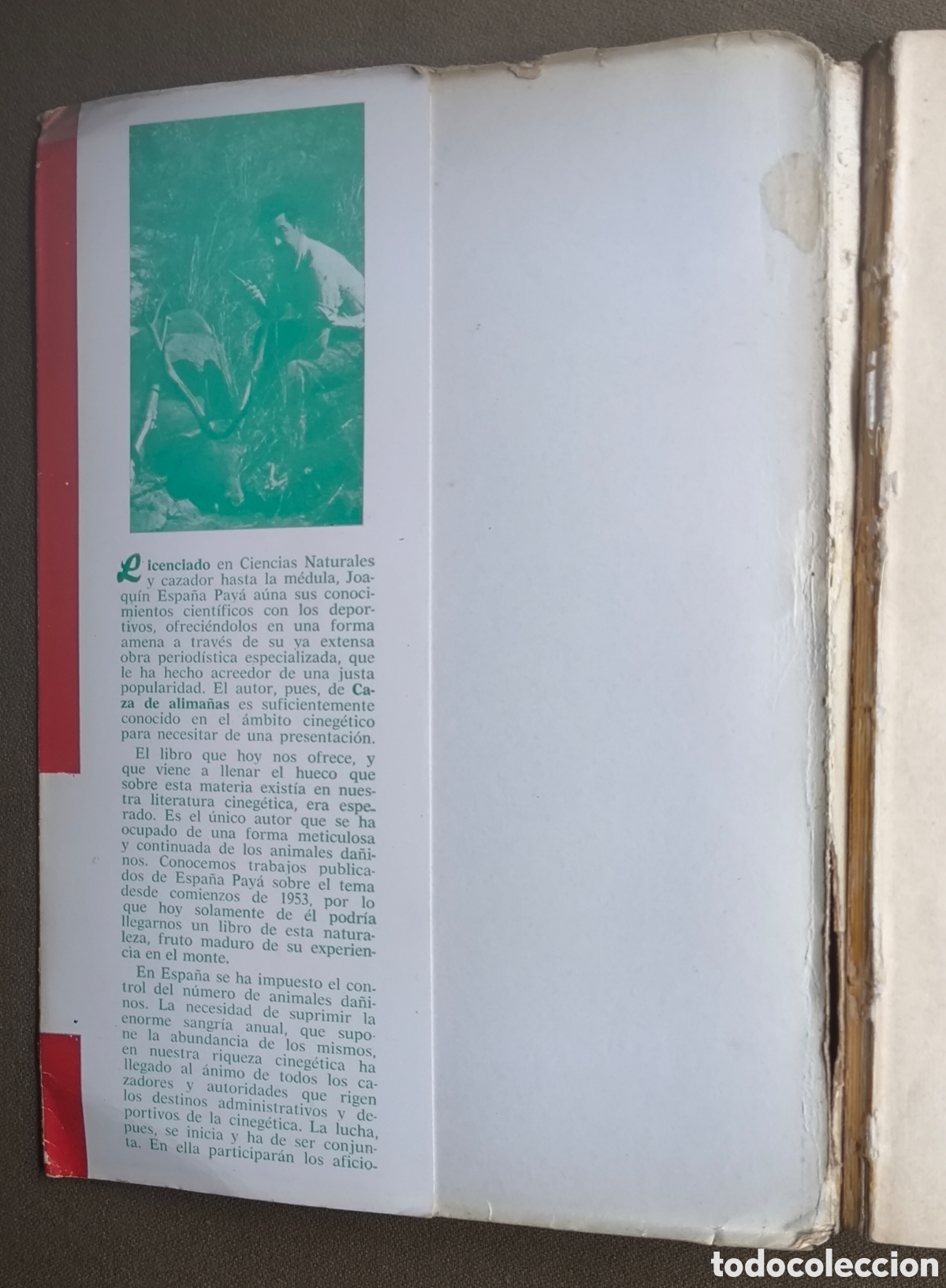 Libros de segunda mano: ALIMA&Ntilde;AS CAZA MENOR LIBRO DESCATALOGADO 1965 - Foto 9