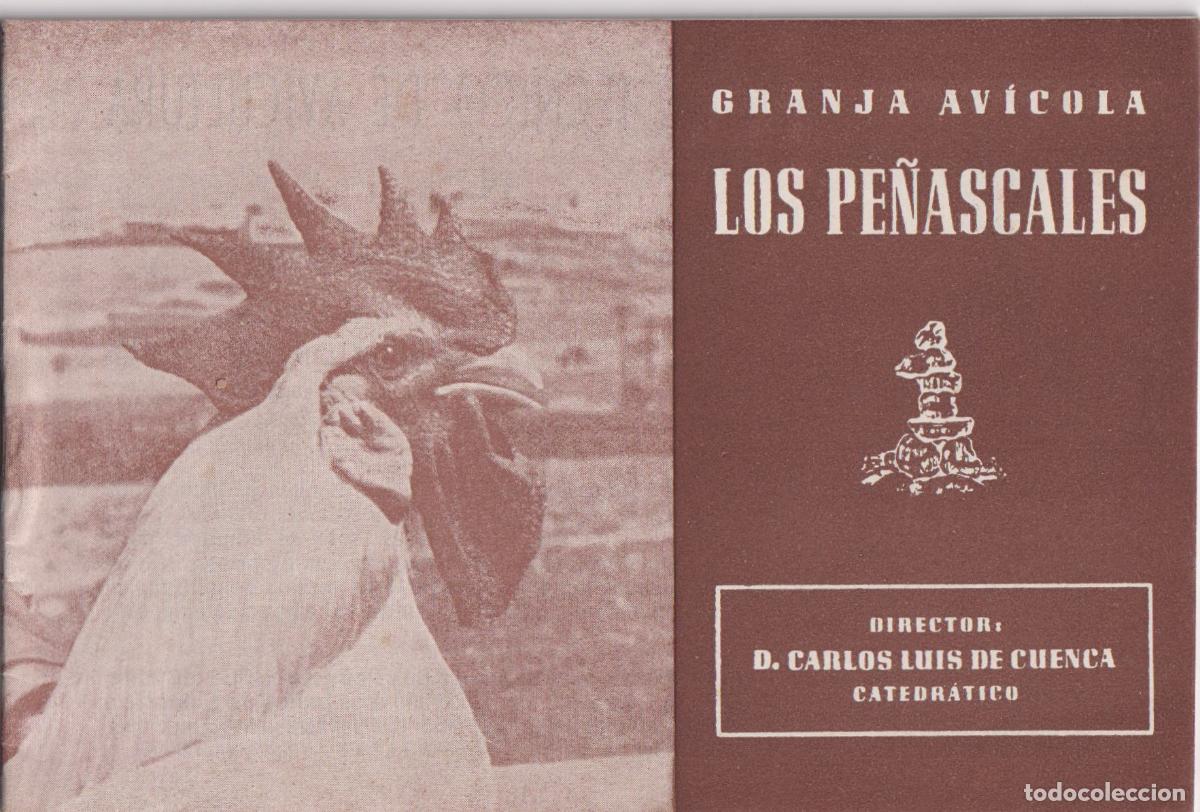 Second hand books: MANUAL TECNICO DE AVICULTURA N&ordm;1 &ndash; NORMAS PARA LA CRIA DE POLLITOS &ndash; GRANJA AVICOLA LOS PE&Ntilde;ASCALES